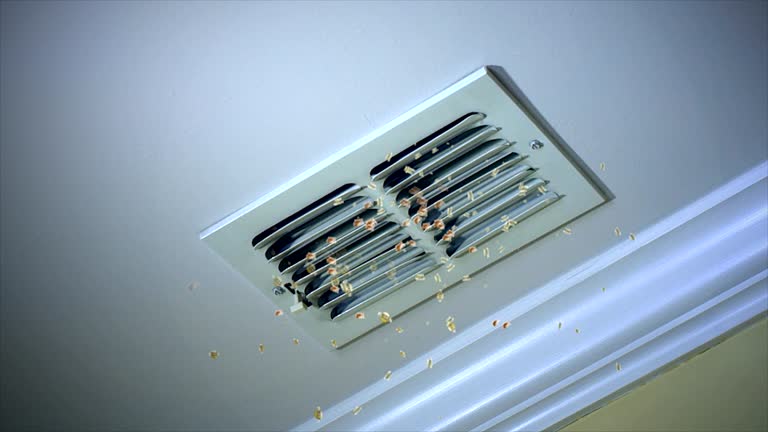 Best Air Duct Cleaning Near Me  in Belle, WV