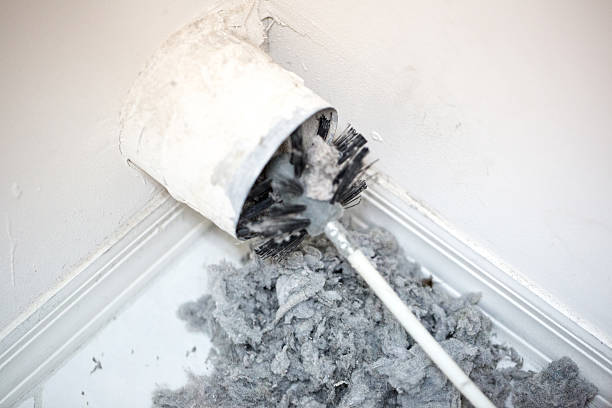 Best Residential Air Duct Cleaning  in Belle, WV